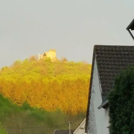 Gastebox Im Ring * Quiddelbach